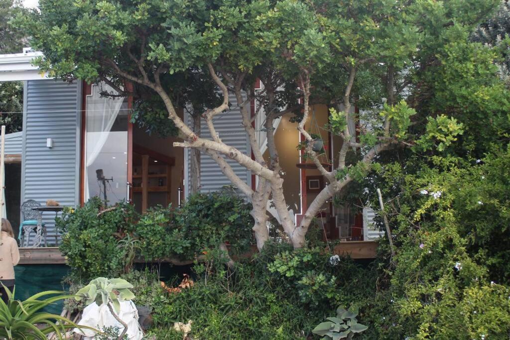 Quirky Eco-Friendly Artist Studio Cape Town Exterior photo